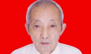 中药治疗急慢性粒细胞型白血病一组合及其制备方法